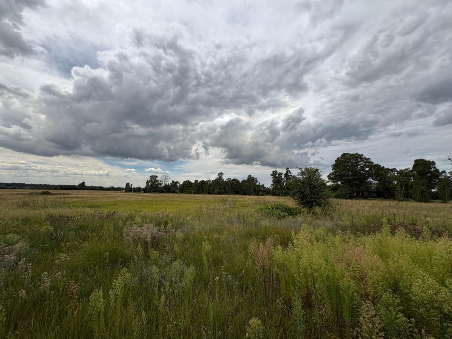 0 Bedroom Property for Sale in Vaalpark Free State